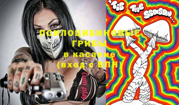 а пвп мука Абаза