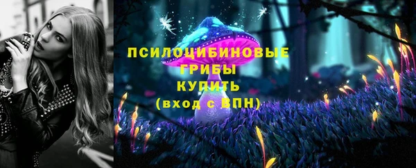 а пвп мука Абаза