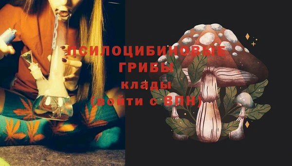 а пвп мука Абаза