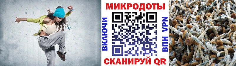 Галлюциногенные грибы Psilocybe  даркнет сайт  Нариманов 